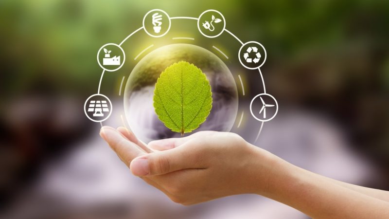 La sostenibilidad: El futuro de los negocios