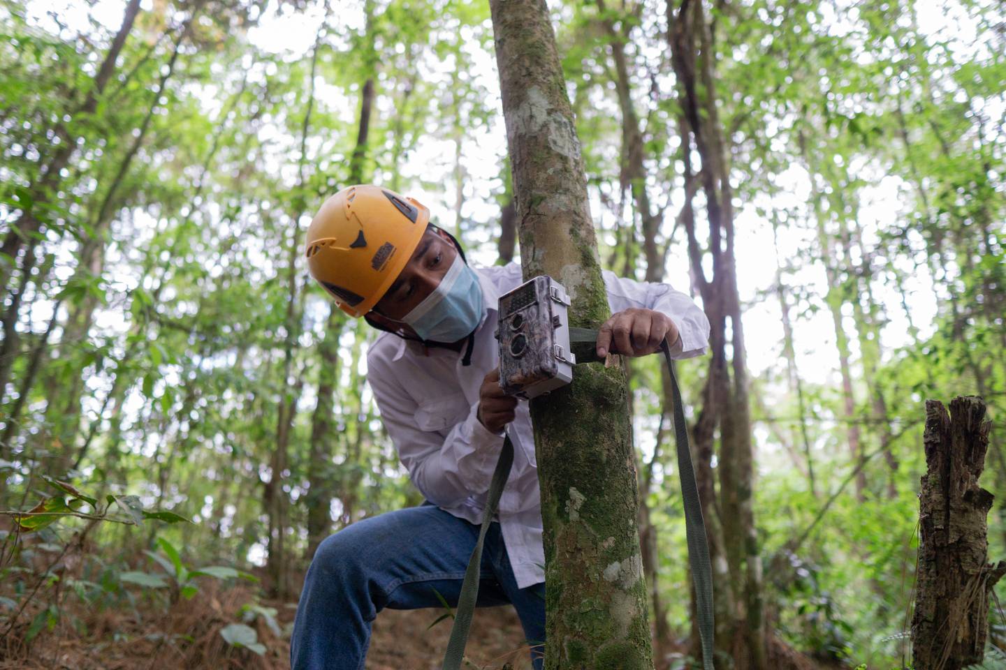 Conservation of environmental conservation in Guatemala