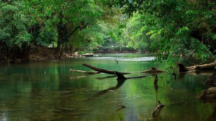 Conservando los ríos de Guatemala