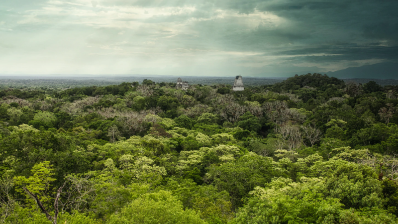 History and Wonders of Tikal Guatemala