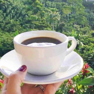 Exploring the Coffee Route in Guatemala: An Unparalleled Adventure