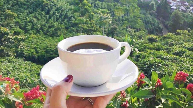 Exploring the Coffee Route in Guatemala: An Unparalleled Adventure